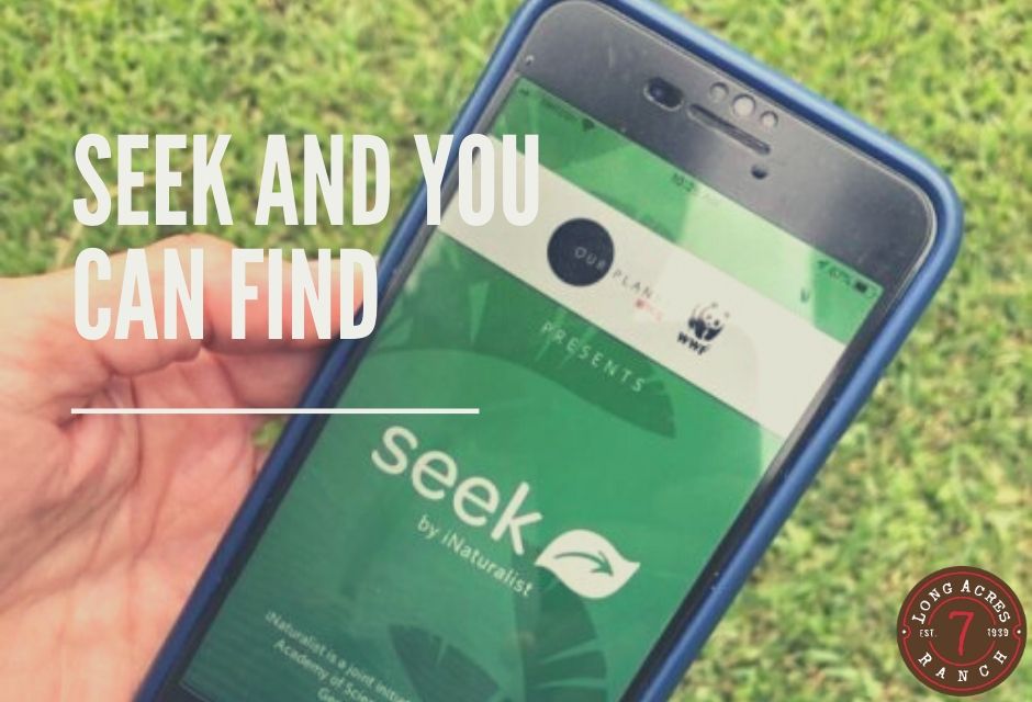 Seek and You Can Find