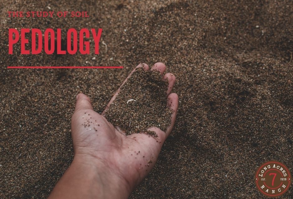 Pedology: The Dirt on Soil