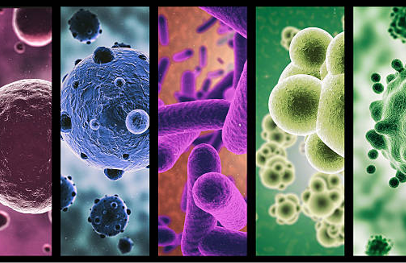 Microbiology: The Tiny World of Mighty Microbes