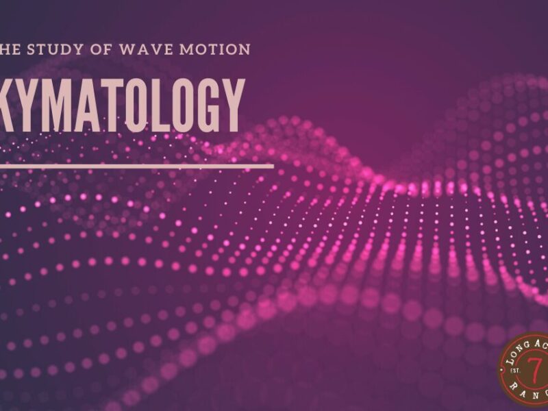 Kymatology: What’s in a Wave?